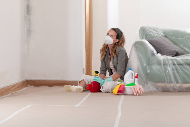 Reliable Mold Cleanup contractor in Kenly, NC by Cheap Mold Removal